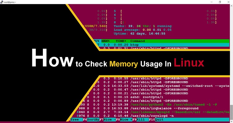 How to Check Memory Usage on Linux Server and Manage the Load