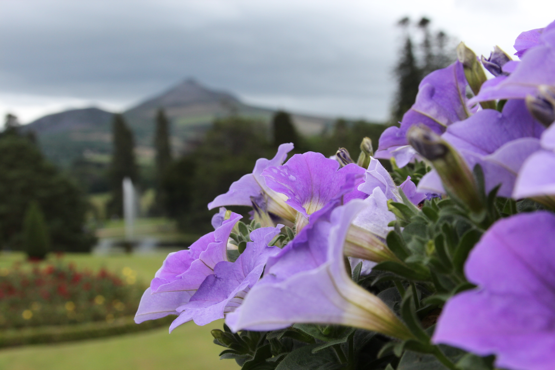 Powerscourt, Ireland (unedited)