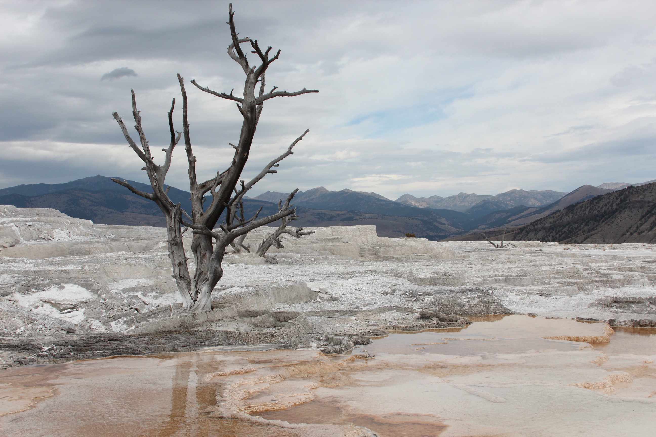 Mammoth Hot Springs, Yellowstone, MT (unedited)
