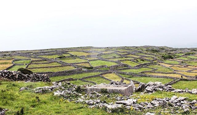 Labyrinth -Inis Oirr, Aran Islands, Ireland