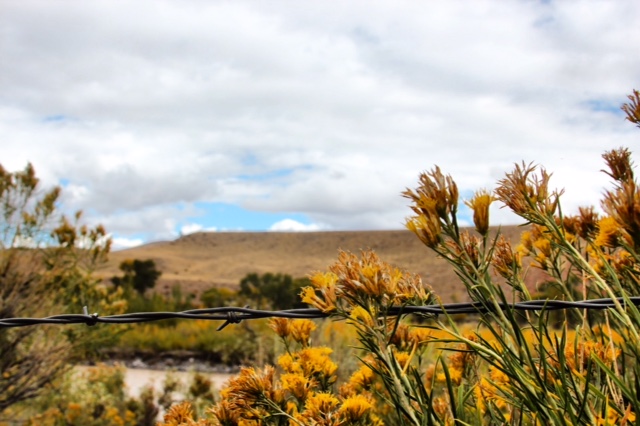 On the Road -Somewhere in Wyoming