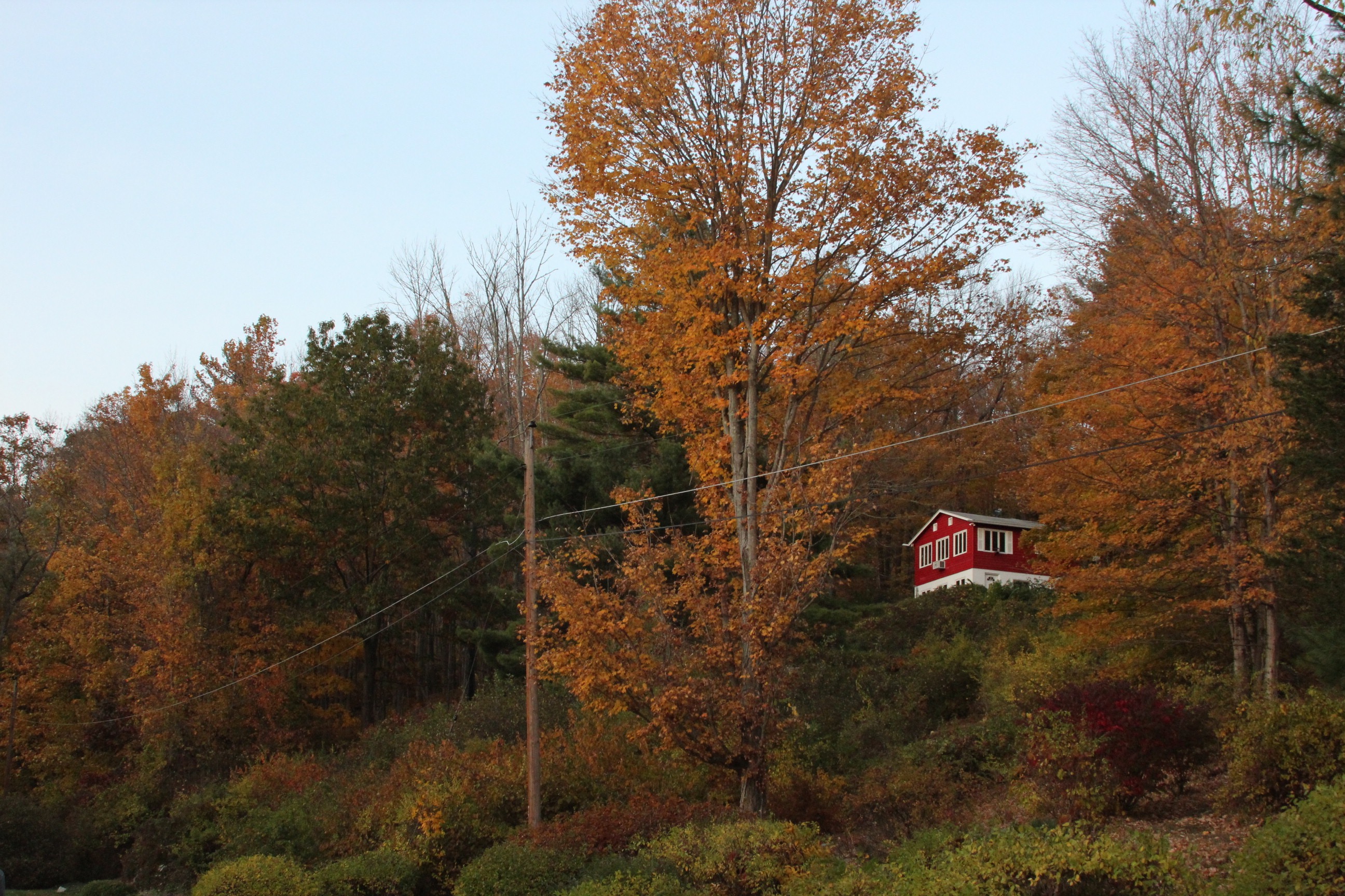 Foliage -Cornwall Bridge, CT (unedited)