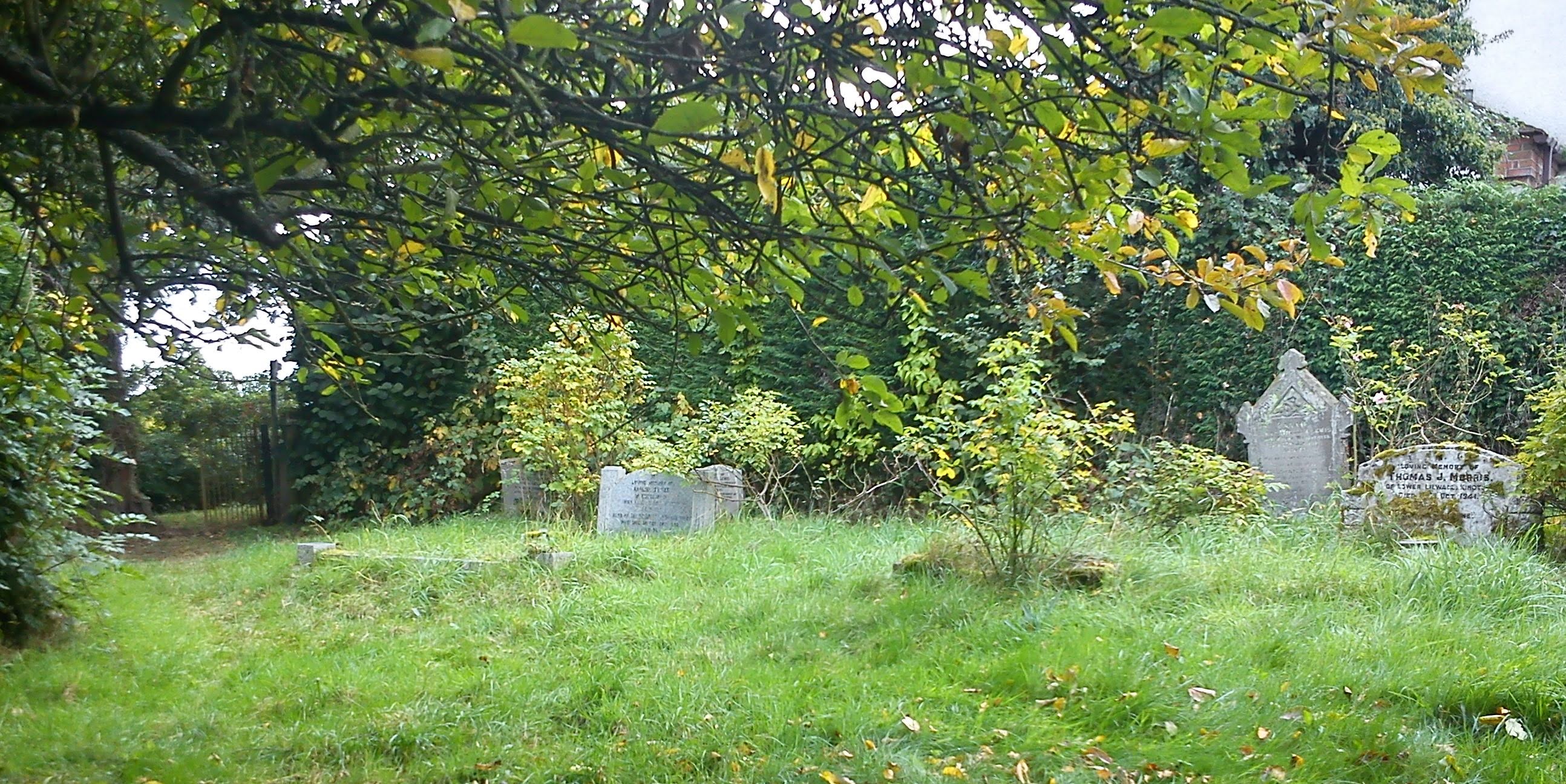 Image © bronwyn angela white