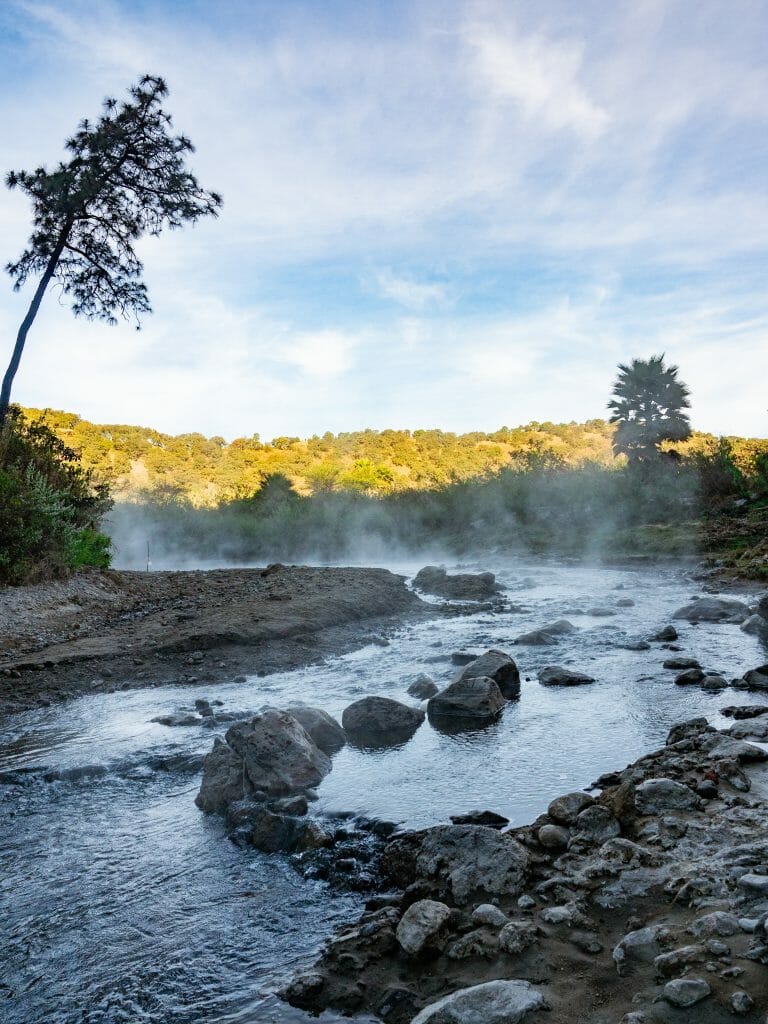 Bosque de la Primavera Hot River Mexico