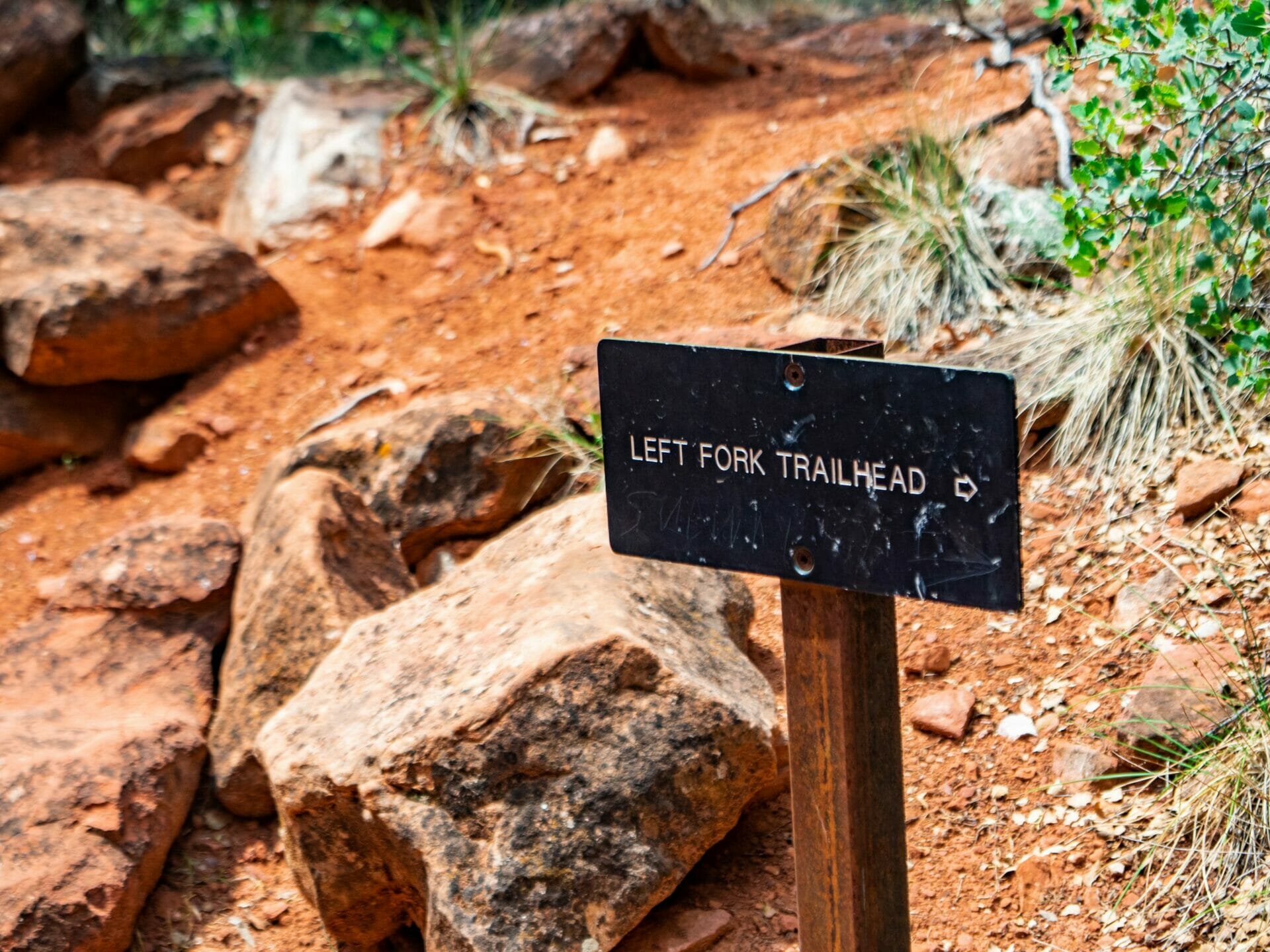 Zion National Park itinerary best hikes Subway