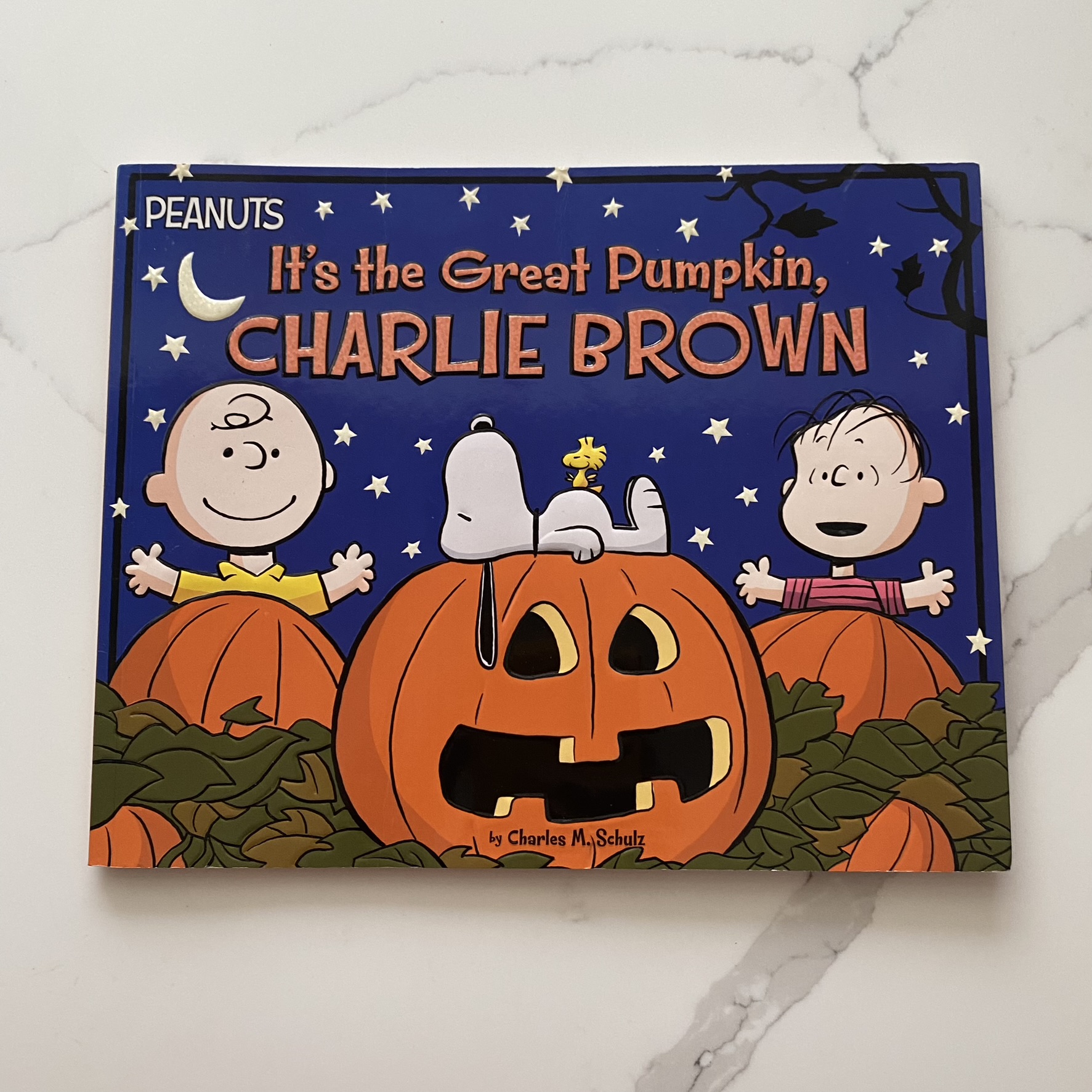 Charlie Brown It's the Great Pumpkin Charlie Brown