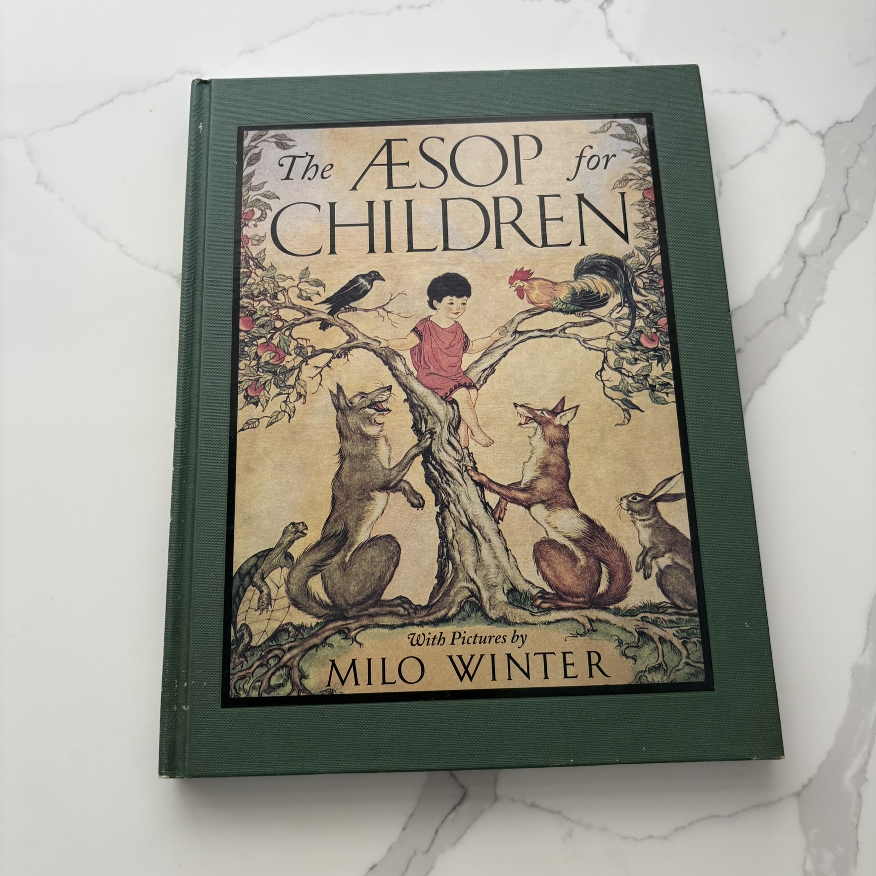 Aesop Children