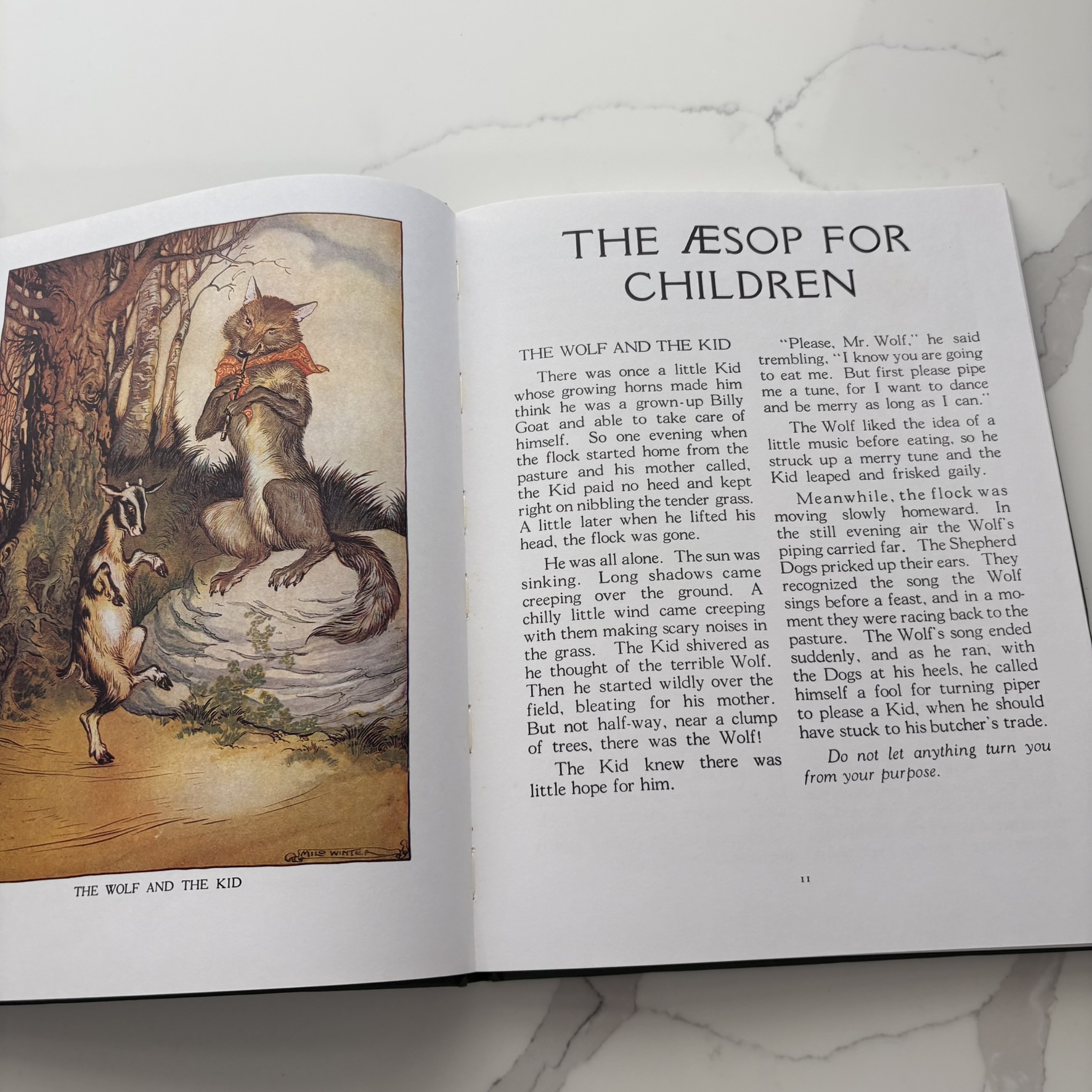 Aesop Children