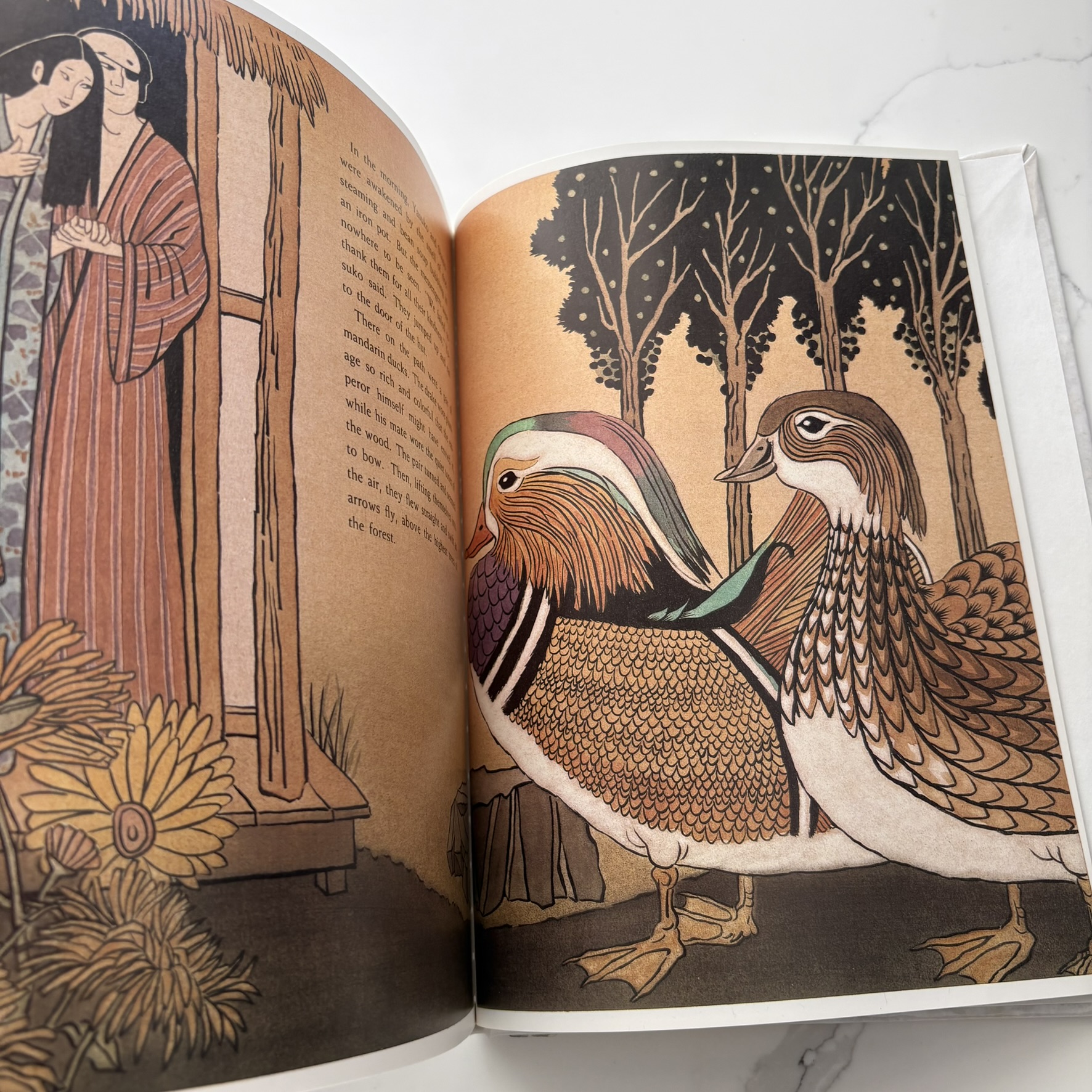 The Tale of the Mandarin Ducks