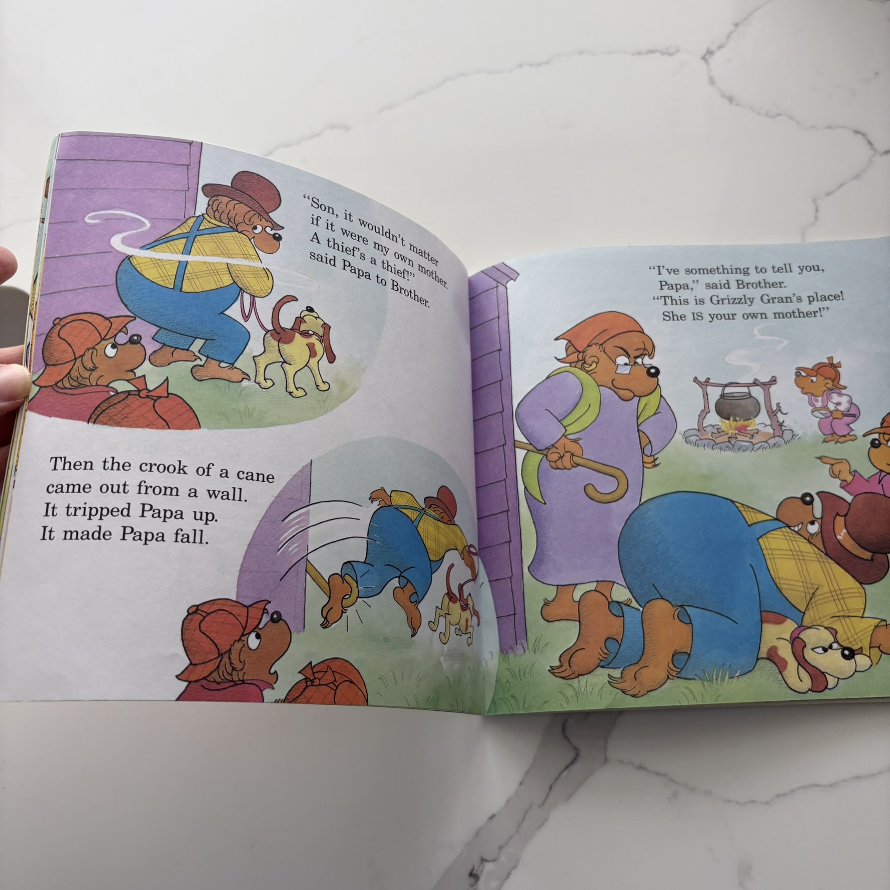 Berenstain Bears and the Missing Honey