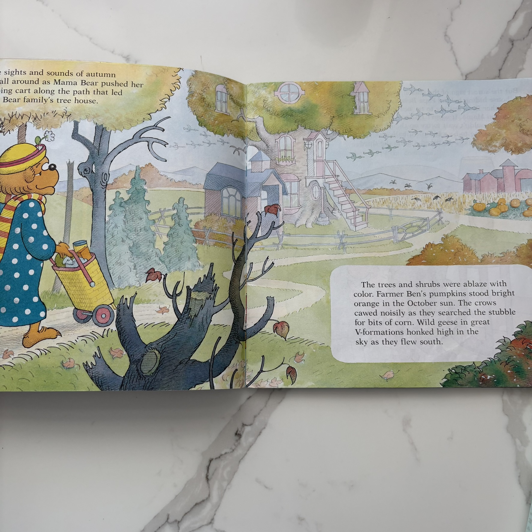 The Berenstain Bears Trick or Treat