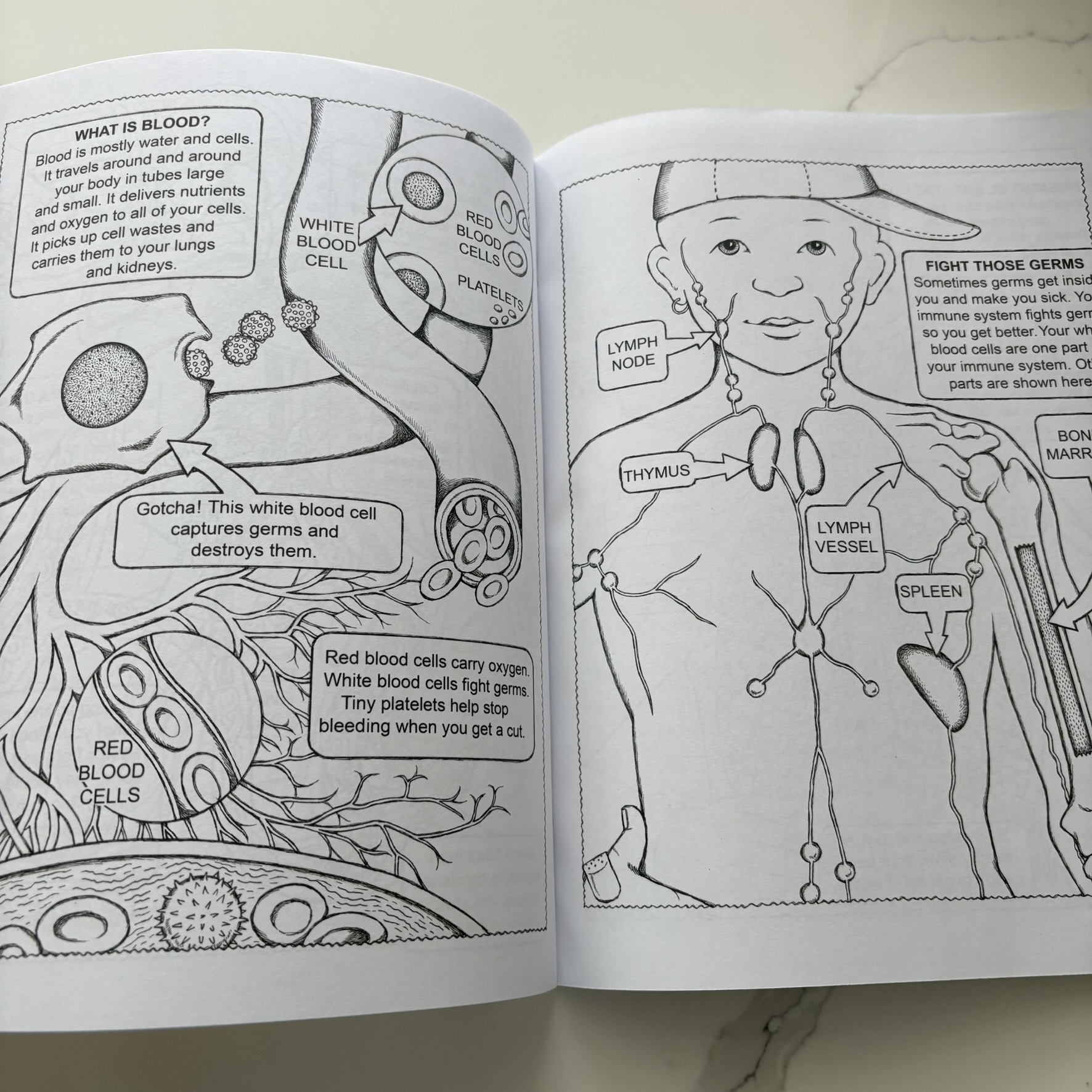 Dover Coloring Book My First Human Body Book