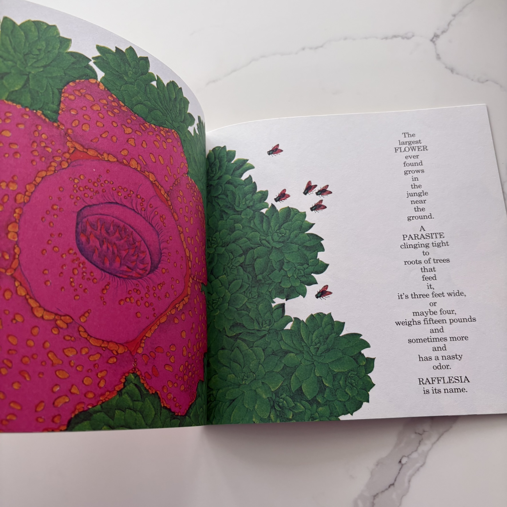 Ruth Heller The Reason for a Flower