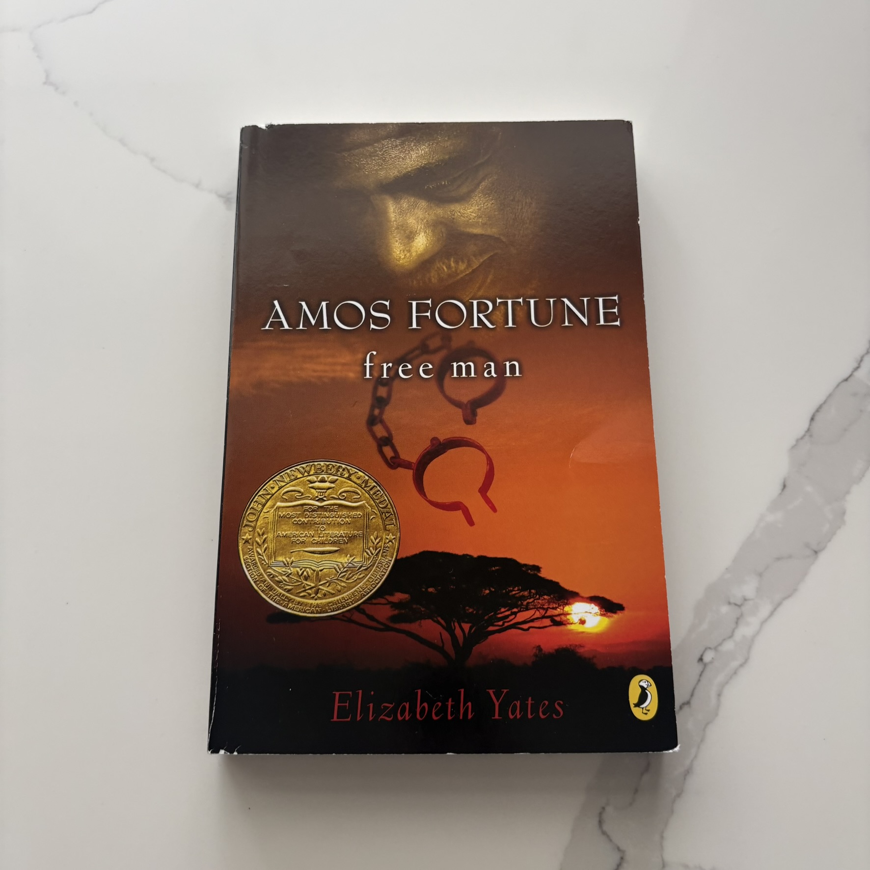 Amos Fortune Free Man