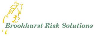 Brookhurst Risk Solutions Logo