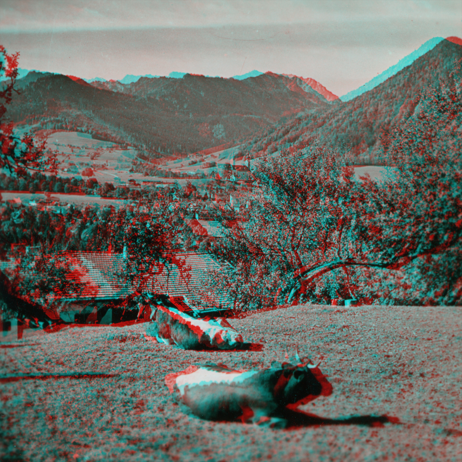 Ruhpolding embedded between wood-coated hills