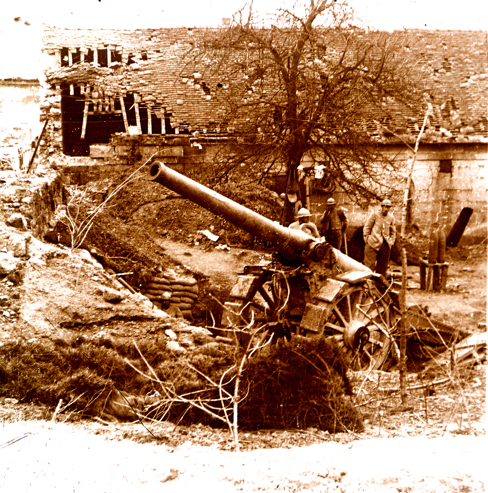 12