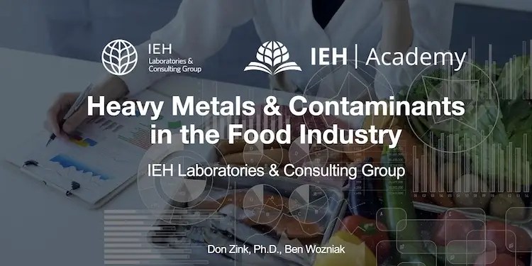Screenshot of Webinar on Heavy Metals in Food Industry.