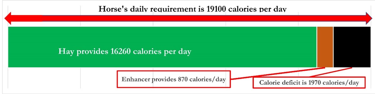 chart showing horse daily requirement is 19100 calories per day and hay provides 16260 calories per day, enhancer provides 870 calories per day, and the calorie deficit is 1970 calories per day.
