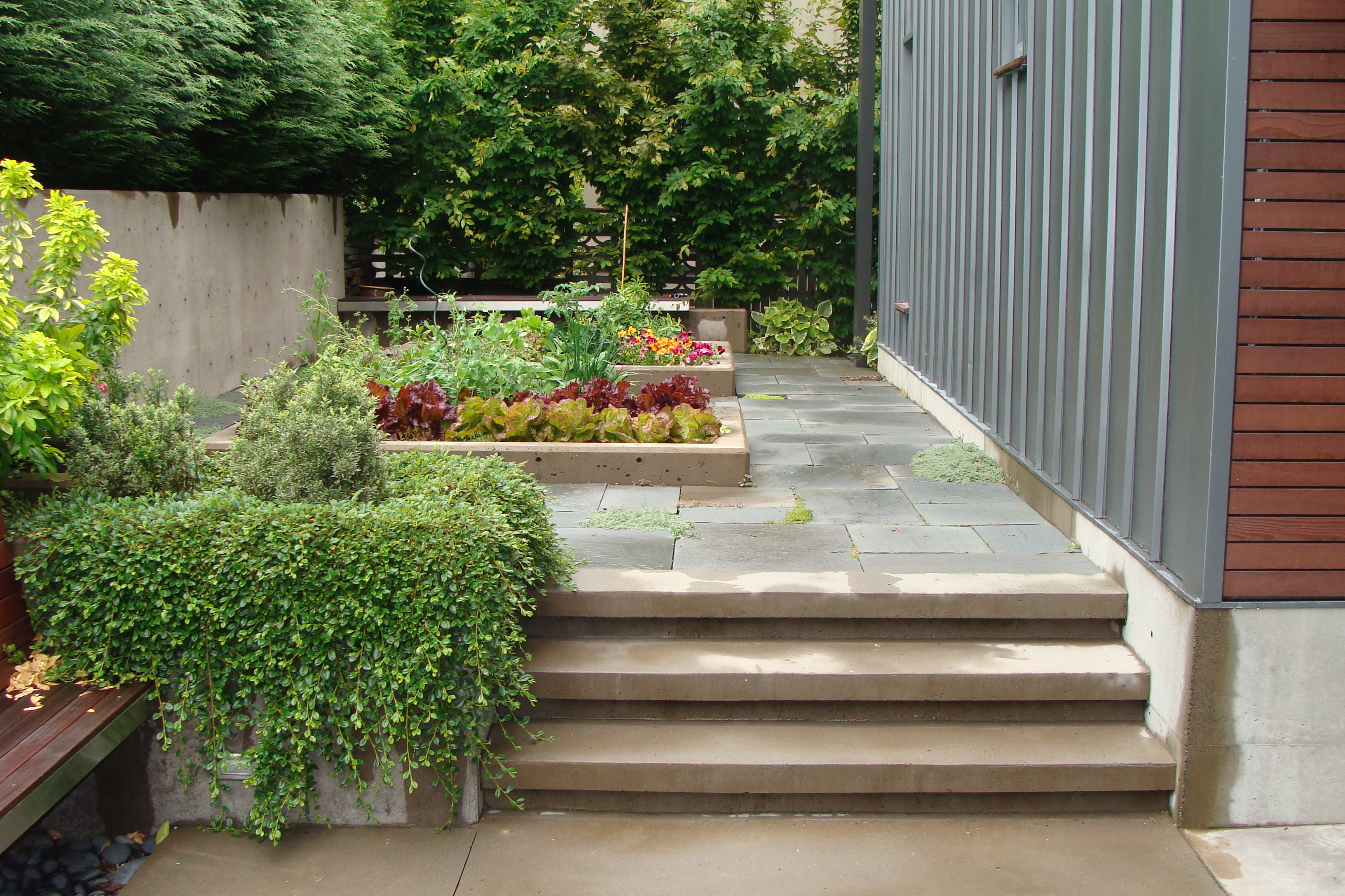 Search 473 seattle, wa landscape architects & designers to find the best landscape. Residential Garden Design Seattle Landscape Architect Seattle Garden Design Brooks Kolb Llc Landscape Architecture
