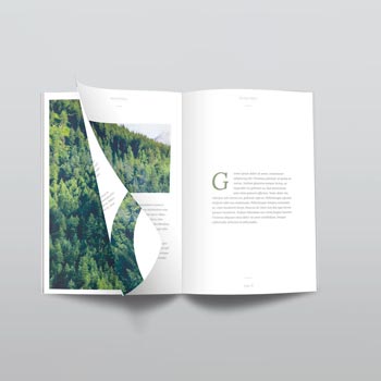 06/10/2021 · a4 magazine mockup templates (photoshop psd) modern and minimalist, this a4 magazine mockup template set is perfect for showcasing both bright and bold, as well as neutral and darker designs. 100 Free Magazine Psd Mockups To Download