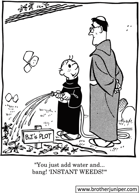 Brother Juniper Cartoon by Fr. Justin ‘Fred’ McCarthy