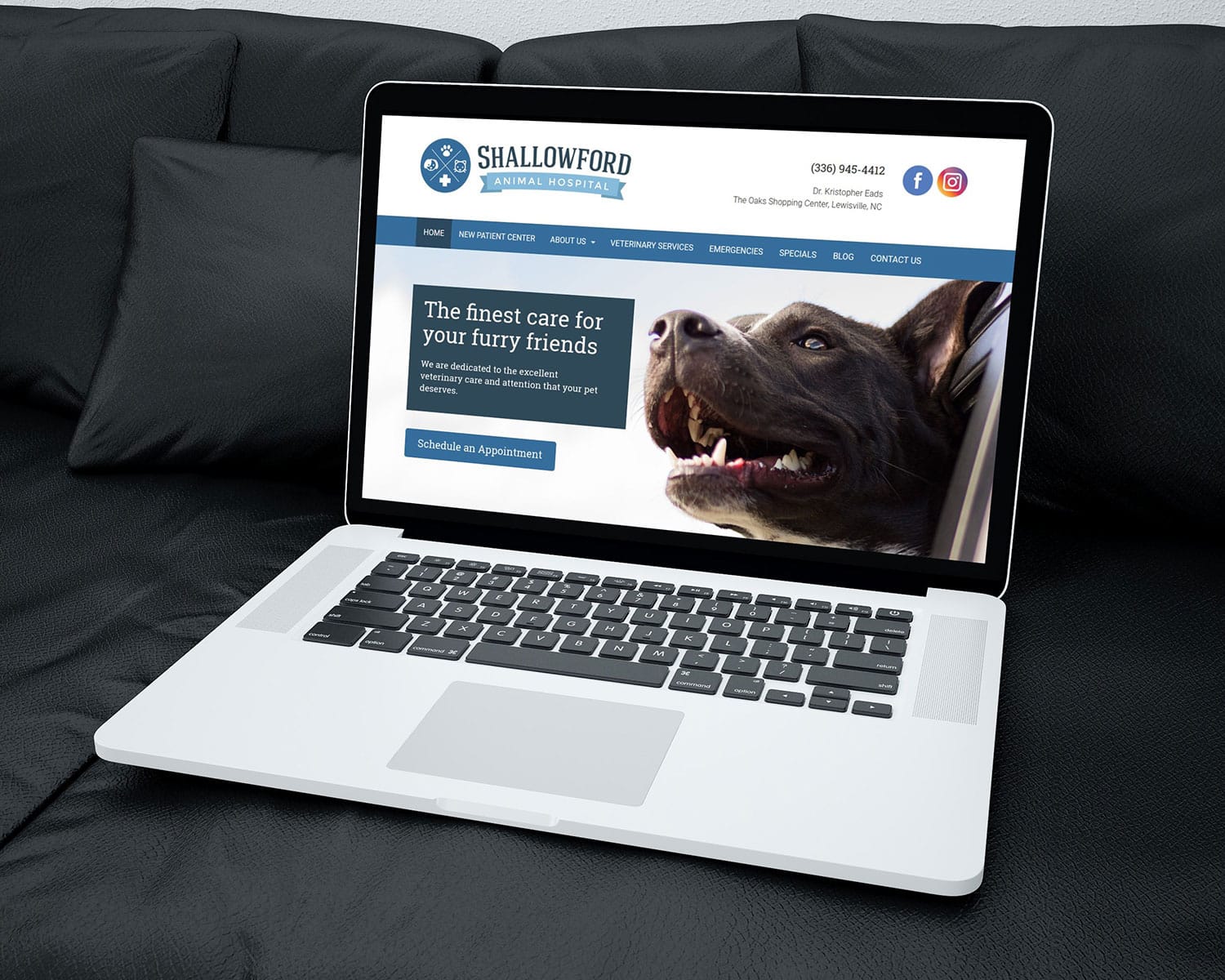 Client spotlight: shallowford animal hospital