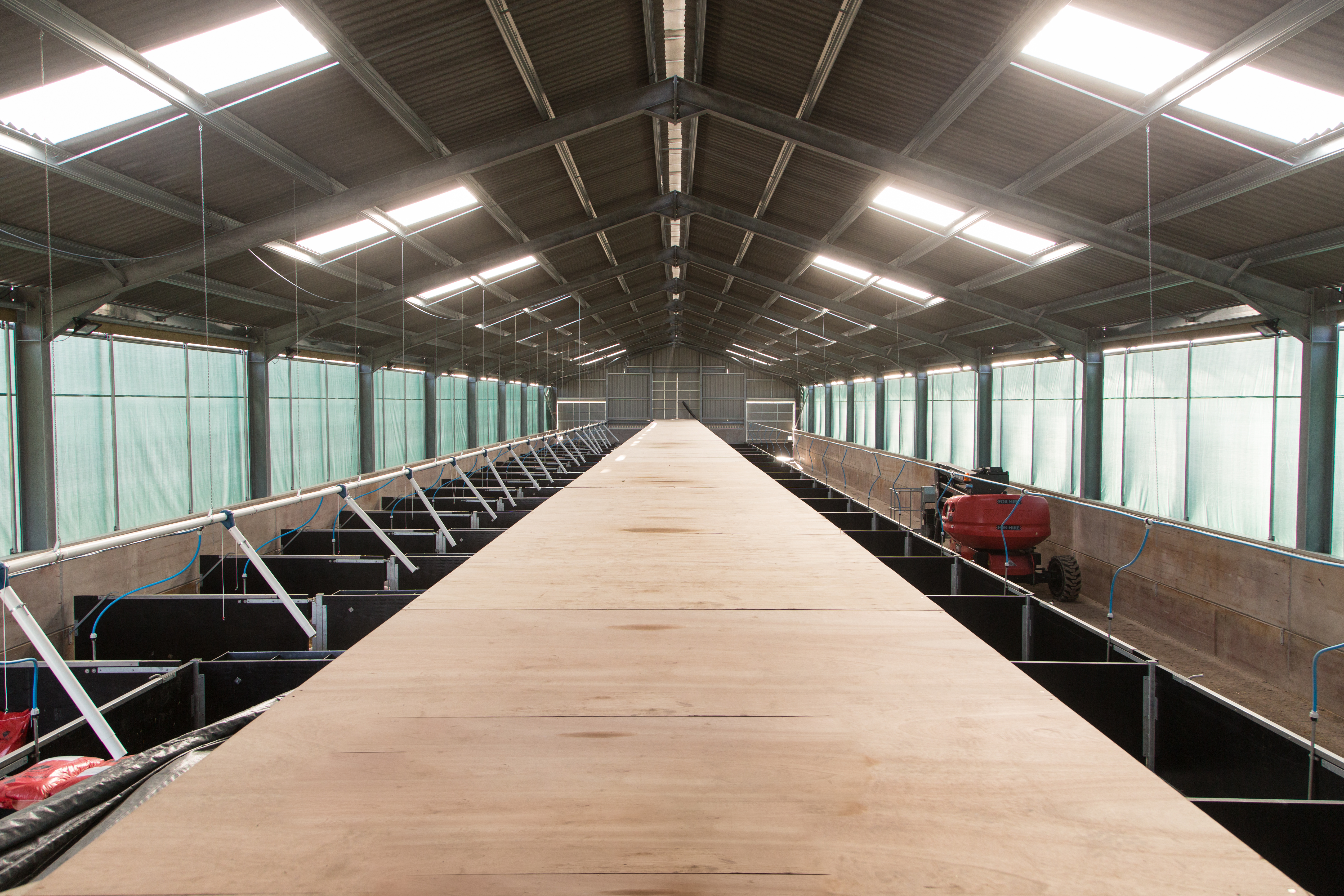 Pig Building Internal