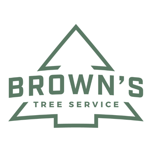 Brown's Tree Service LC work site