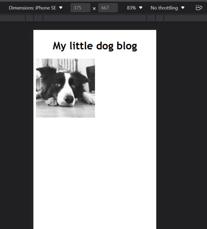 Html Resize Stretch Image Depending On Web Browser Size Css Stack - Best Light Pictures in Full HD