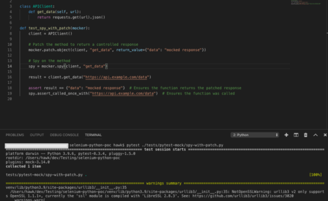 How To Use Mocker.spy In Pytest | BrowserStack