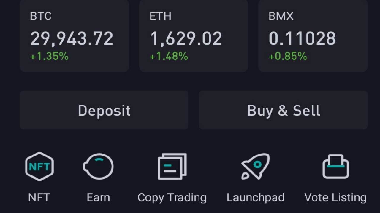 Bitmart review (91) 사진