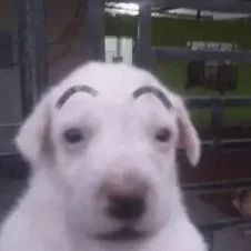 Browski Linktree - High Resolution Abstract Designs for Desktop