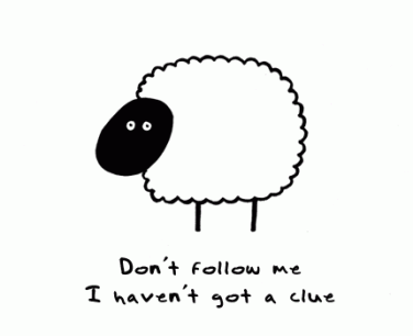 dont follow me