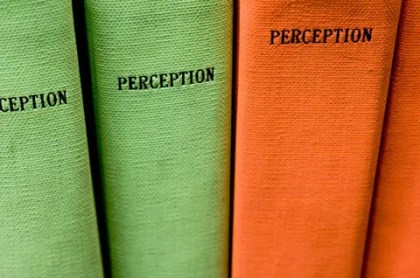 perception books