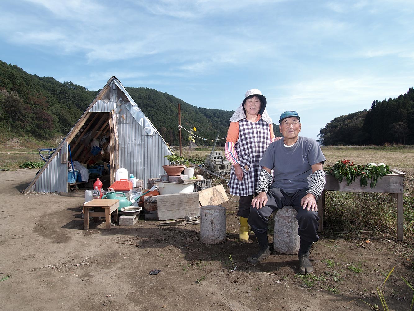 Tatezaki (Miyako, Iwate Prefecture)