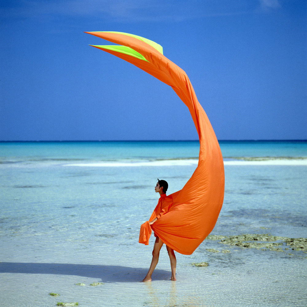 Orange Fish in Okinawa (Yoshiki Hishinuma Couture)