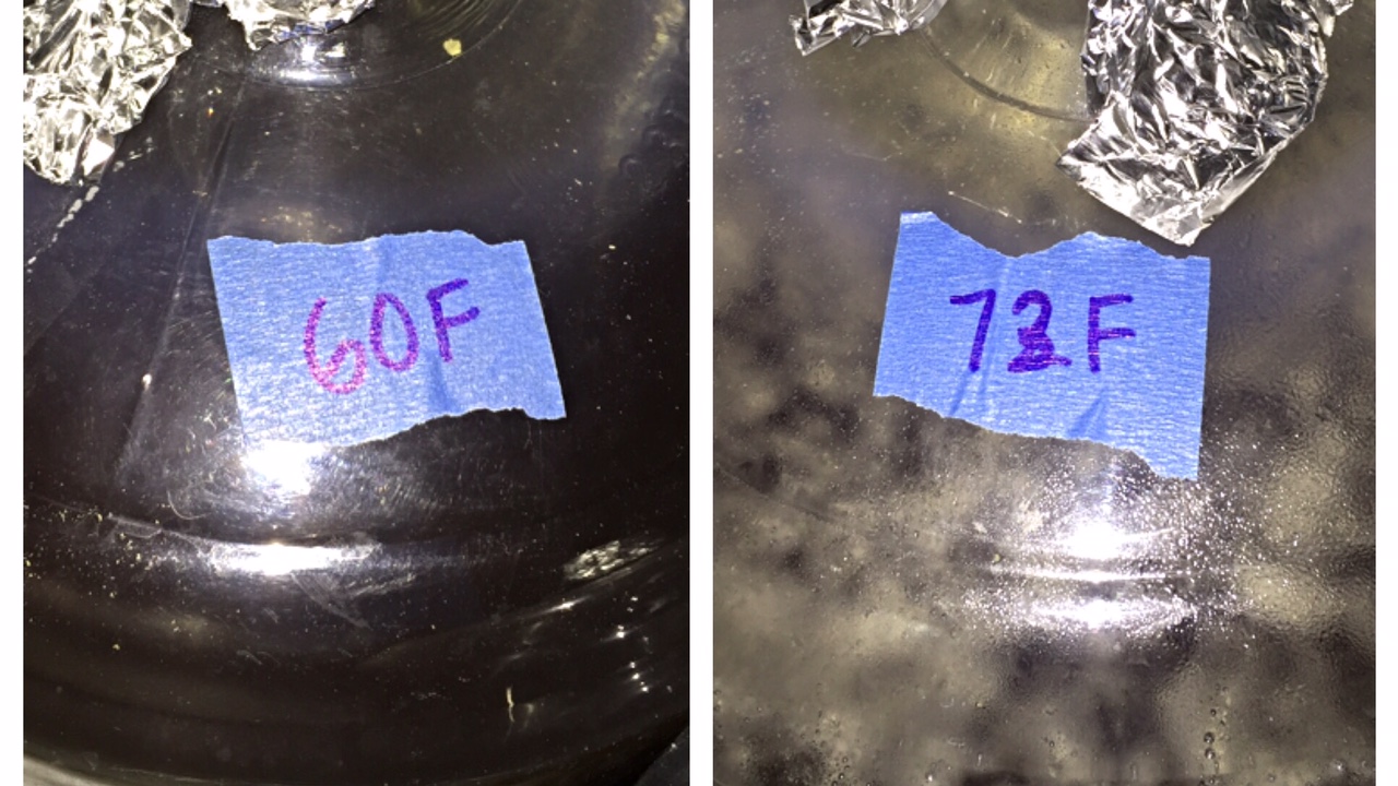 exBEERiment Fermentation Temperature Frankenyeast Blend In An