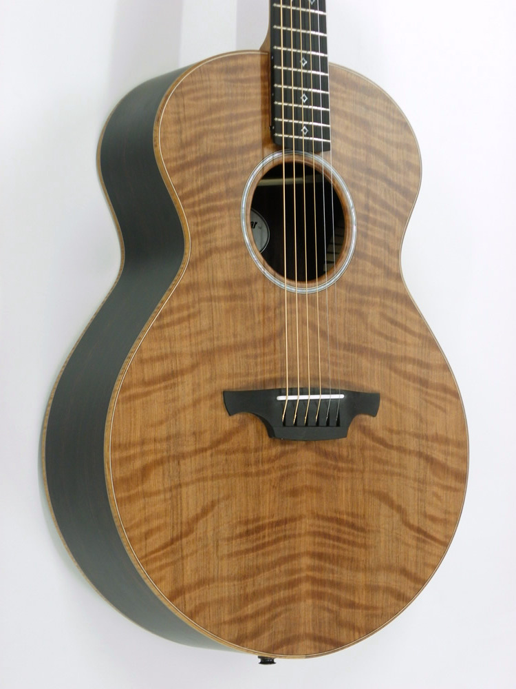 BC Multineck Brunner Guitars