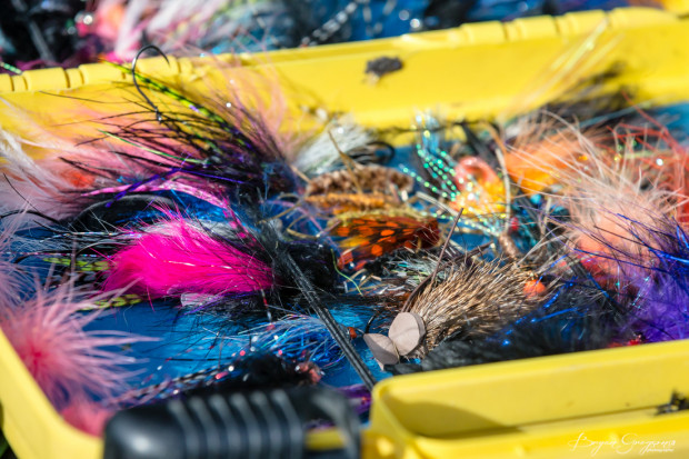 Gregson_Bryan_Steelhead Ranch Blog-4