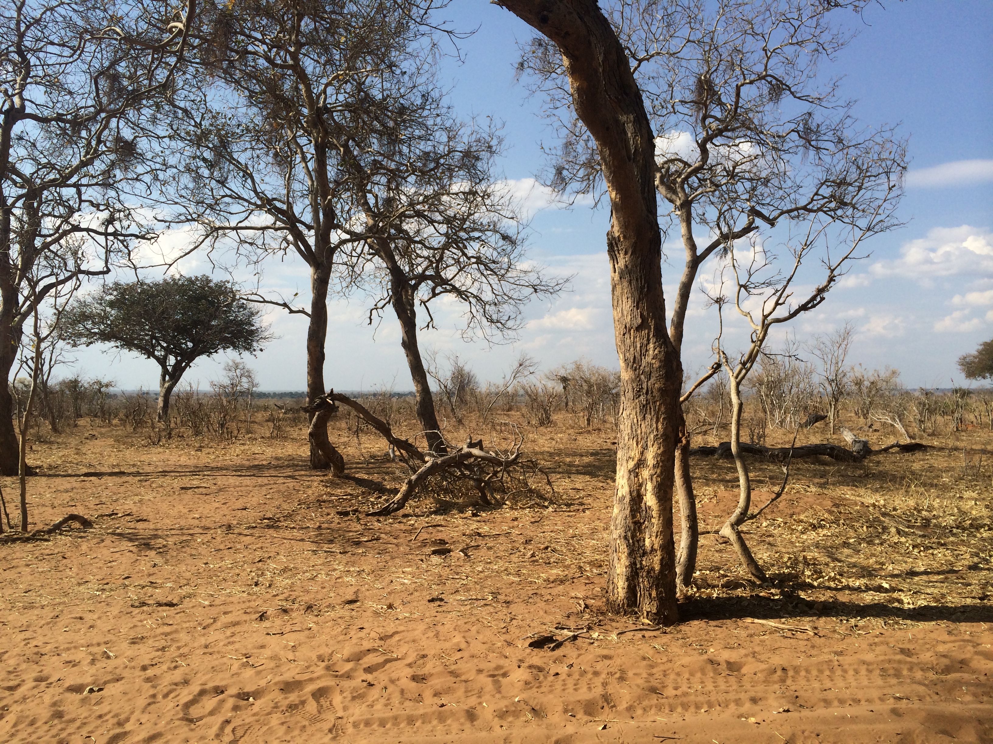Botswana