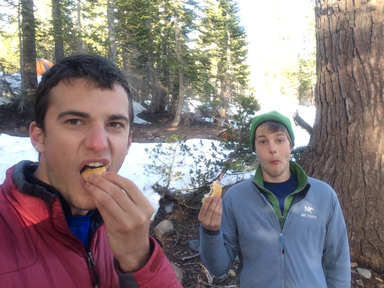 Eating the olive sandwiches for dinner