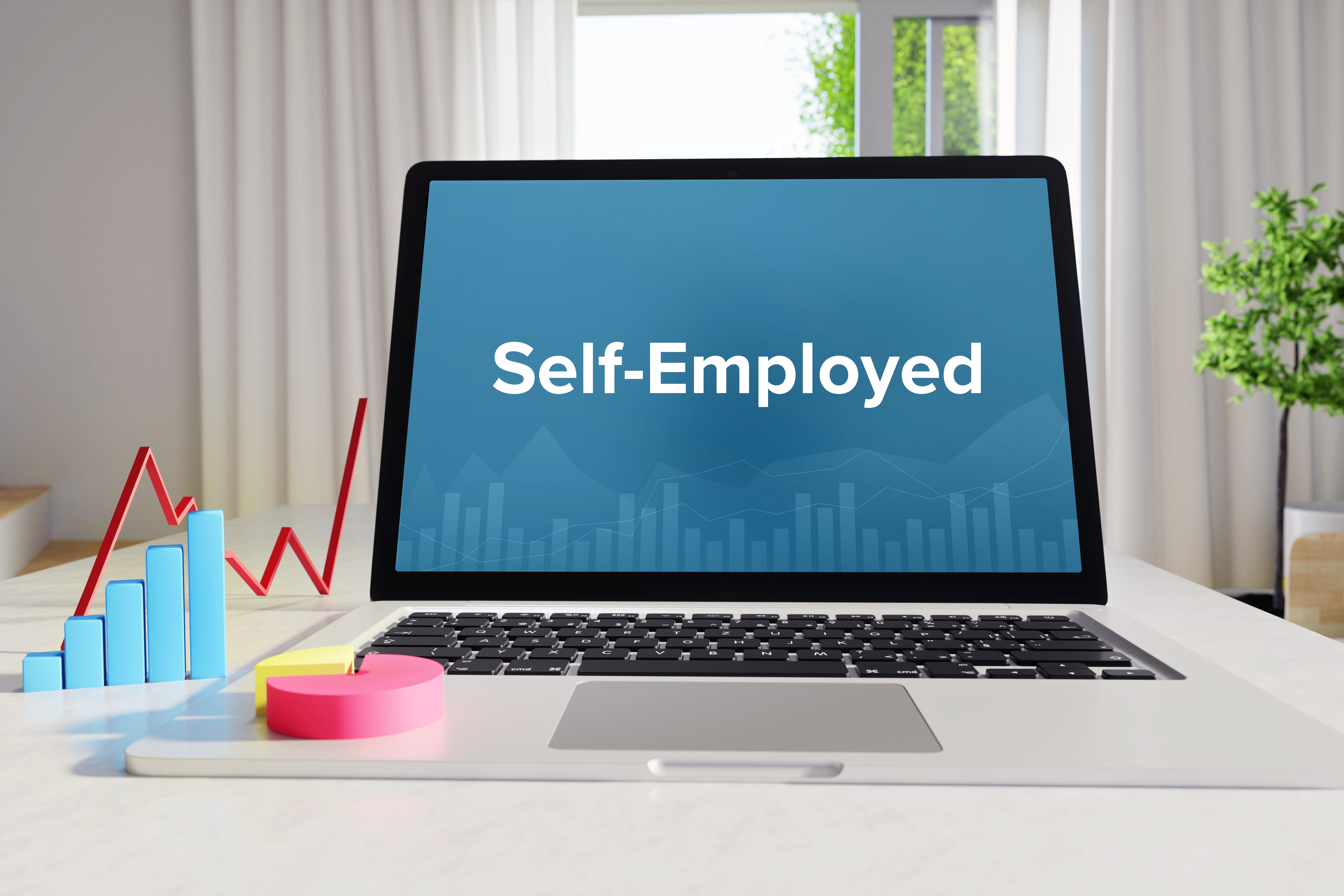 More details on self-employed grant scheme