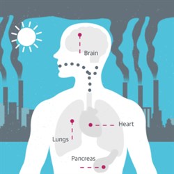 What steps are being taken so that future generations will have clean air to breathe?