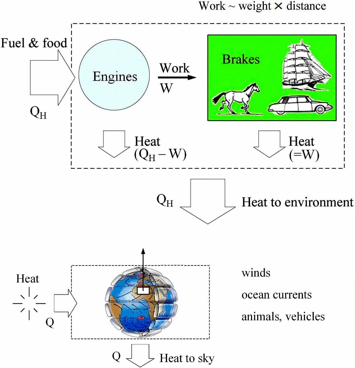Thermodynamics today | Prof. Adrian Bejan - TOWARDS LIFE-KNOWLEDGE