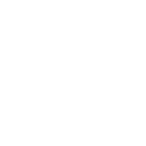 Vibrant Colors & Branding