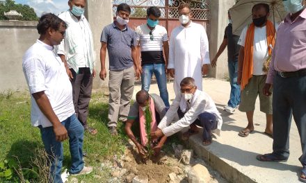 बृक्षारोपण गरि वृक्ष यादवको स्मृति दिवस मनाइयो