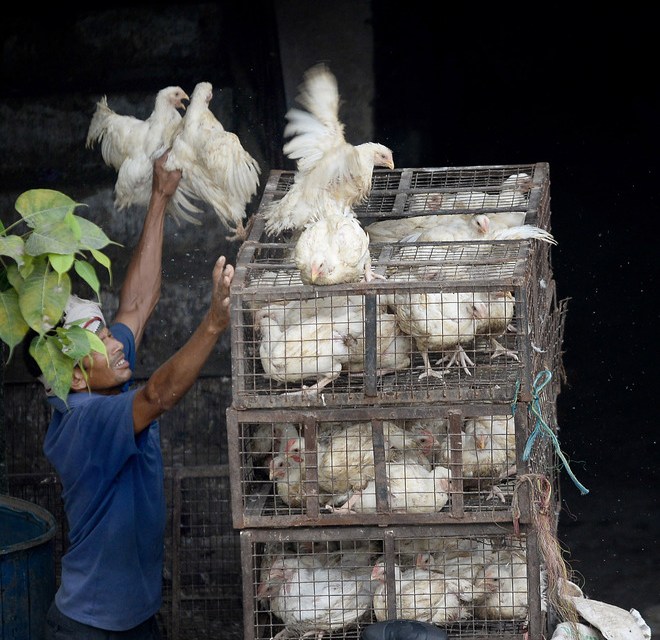 बसतपुर चौकी कै मिलोमतोमा तस्करी तिब्र