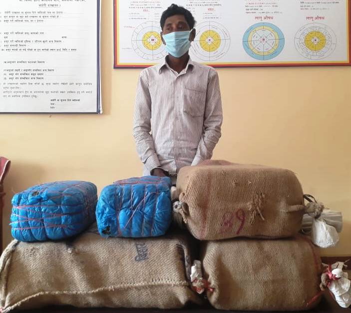 ४५ किलोग्राम अवैध लागू औषध गाँजा सहित १ जना पक्राउ