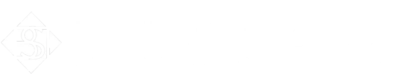 BST Performance Logo Chiptuning Leistungssteigerung München